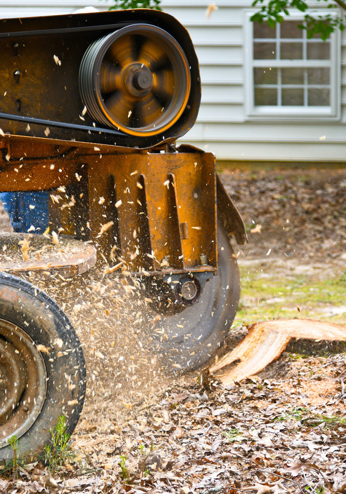 Tree Service Tigard, OR Arborist Sherwood & More